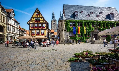 Dachreparatur  in Quedlinburg